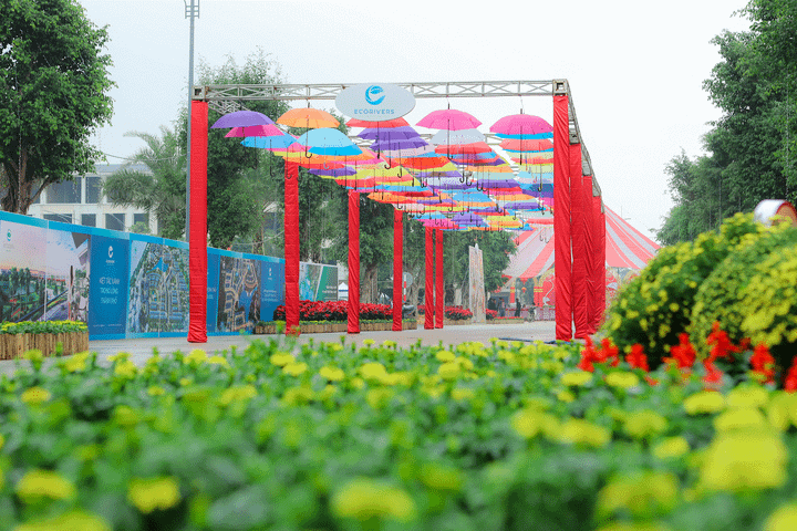 Điểm chụp ảnh sống ảo siêu chất cho giới trẻ Hải Dương trong ngày Tết - 5