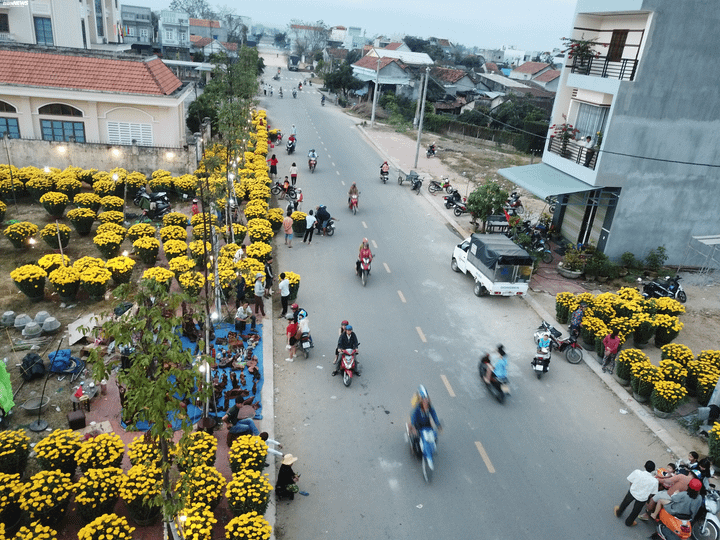 Lãnh đạo miền đất võ kêu gọi dân không chờ mua hoa cận Giao thừa - 7
