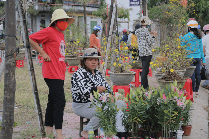 Lãnh đạo miền đất võ kêu gọi dân không chờ mua hoa cận Giao thừa - 6