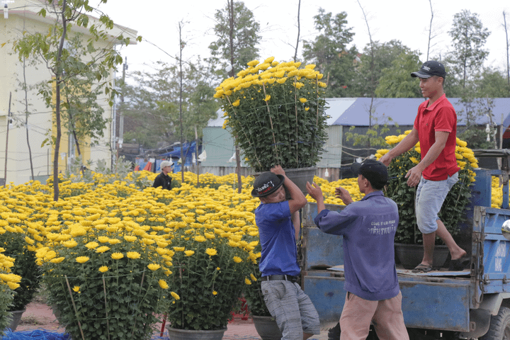 Lãnh đạo miền đất võ kêu gọi dân không chờ mua hoa cận Giao thừa - 5