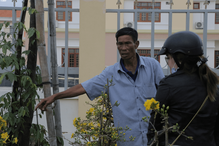 Lãnh đạo miền đất võ kêu gọi dân không chờ mua hoa cận Giao thừa - 4