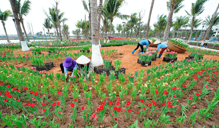 Điểm chụp ảnh sống ảo siêu chất cho giới trẻ Hải Dương trong ngày Tết - 4