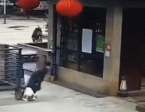 Dân Vũ Hán nhiễm virus corona đổ bệnh ‘như zombie’, thi thể bị bỏ trên hành lang bệnh viện - 1