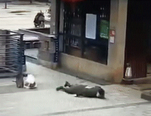 Dân Vũ Hán nhiễm virus corona đổ bệnh ‘như zombie’, thi thể bị bỏ trên hành lang bệnh viện - 2