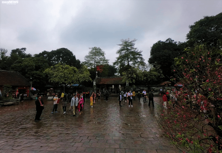 Người Hà Nội dập dìu đi xin chữ đầu Xuân - 9