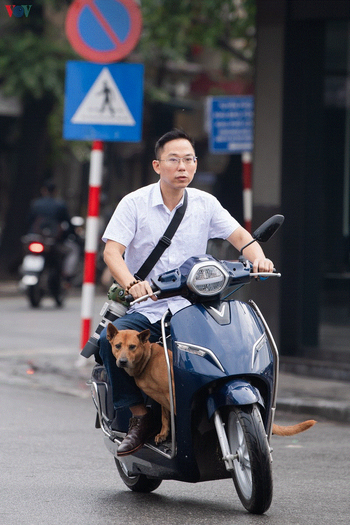 Những hình ảnh xấu xí trong sáng mùng 1 Tết - 9