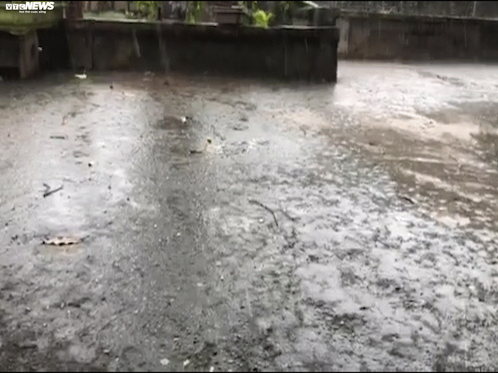 Hà Nội xuất hiện mưa đá vào ngày mùng 1 Tết Nguyên đán Canh Tý - 2