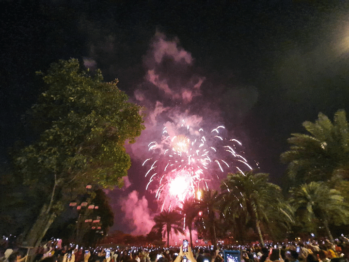 Ảnh: Mặt nước, bầu trời lộng lẫy pháo hoa mừng năm mới Canh Tý 2020 - 28
