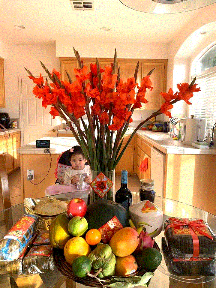 MC Lại Văn Sâm và Thu Minh chúc Tết, Sơn Tùng M-TP quây quần bên gia đình đón năm mới - 9