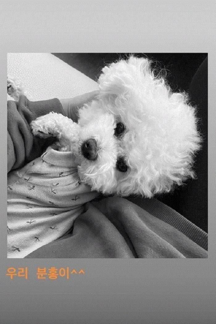 Song Hye Kyo đón Tết độc thân sau khi ly hôn Song Joong Ki - 1