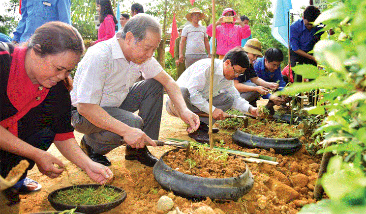 Từ phong trào 'Chủ nhật xanh' đến cái Tết 'sạch như Huế' khiến dân cố đô tự hào - 2