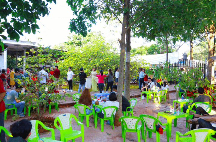 Cận cảnh cây mai 'khổng lồ' khiến hàng trăm người đổ xô tới chụp hình - 4