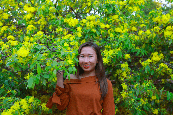 Cận cảnh cây mai 'khổng lồ' khiến hàng trăm người đổ xô tới chụp hình - 11