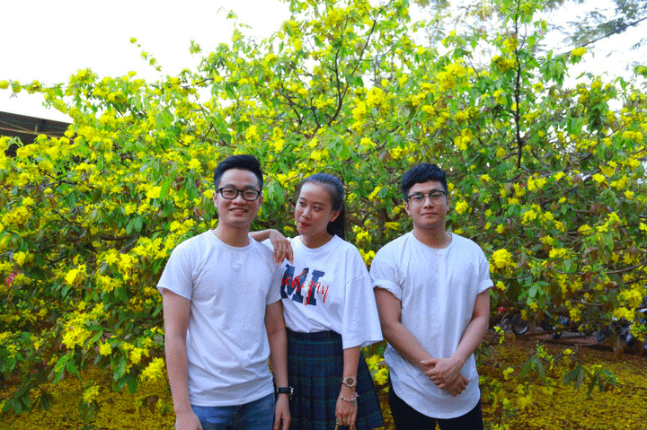 Cận cảnh cây mai 'khổng lồ' khiến hàng trăm người đổ xô tới chụp hình - 7