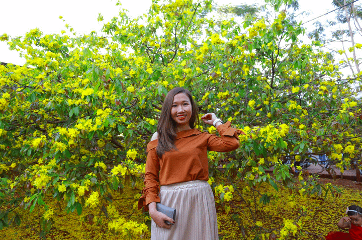 Cận cảnh cây mai 'khổng lồ' khiến hàng trăm người đổ xô tới chụp hình - 5