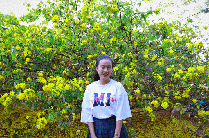 Cận cảnh cây mai 'khổng lồ' khiến hàng trăm người đổ xô tới chụp hình - 6