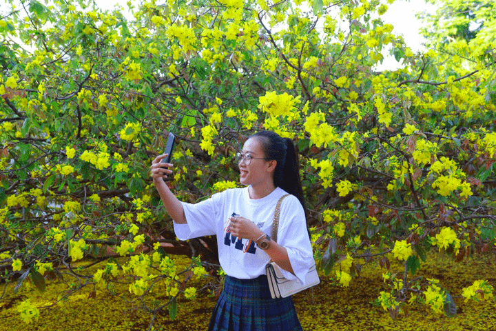 Cận cảnh cây mai 'khổng lồ' khiến hàng trăm người đổ xô tới chụp hình - 12