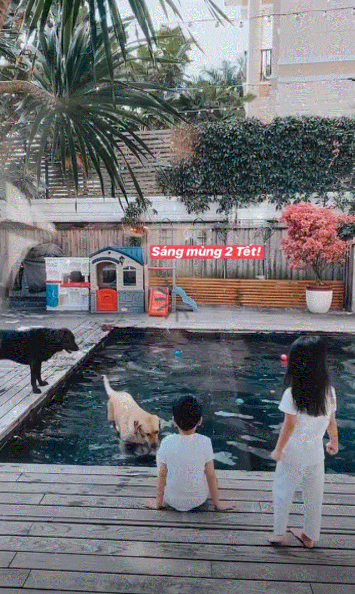 Mỹ Tâm biểu cảm đáng yêu khi được lì xì, Hoa hậu Ngọc Hân rạng rỡ bên bạn trai - 3