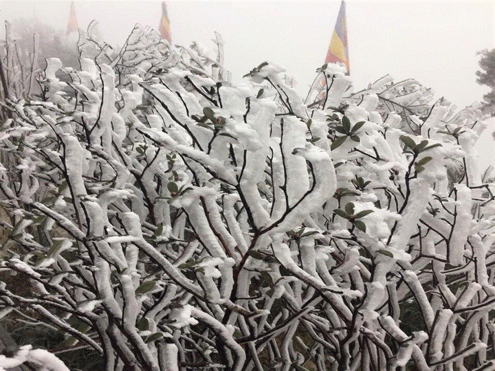 Băng giá phủ trắng 'nóc nhà Đông Dương' sáng mùng 3 Tết - 3