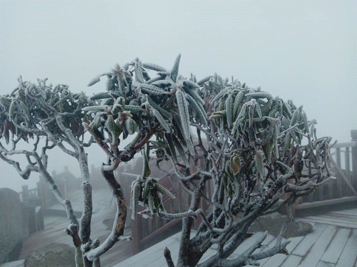 Băng giá phủ trắng 'nóc nhà Đông Dương' sáng mùng 3 Tết - 7