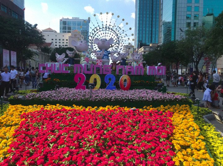 Người dân đổ xô về du xuân đầu năm ở Đường hoa Nguyễn Huệ - 10