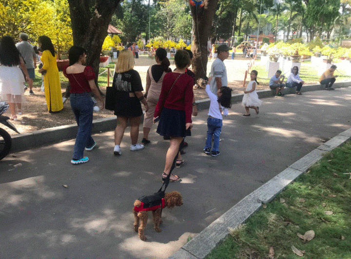 Người dân đổ xô về du xuân đầu năm ở Đường hoa Nguyễn Huệ - 9