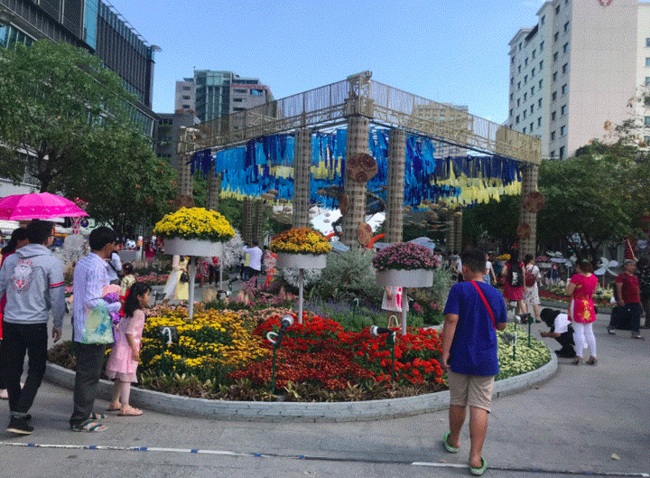 Người dân đổ xô về du xuân đầu năm ở Đường hoa Nguyễn Huệ - 8