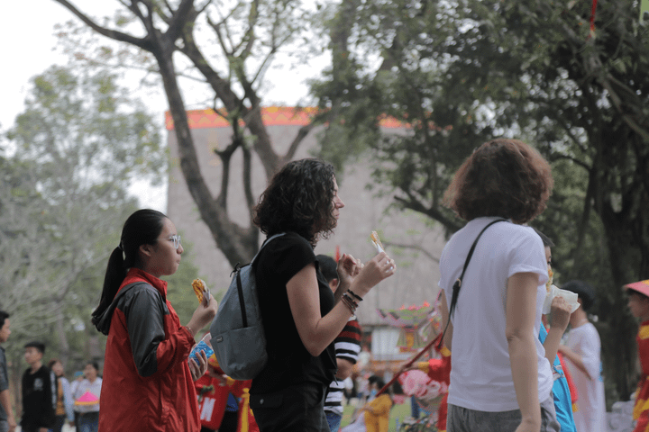 Hàng nghìn người đổ về Bảo tàng Quang Trung kỷ niệm Chiến thắng Ngọc Hồi - Đống Đa - 12