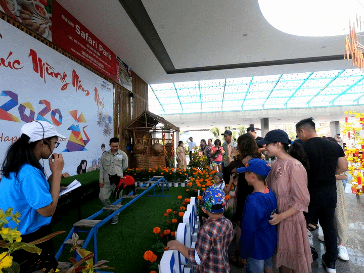 Đón Tết tại thiên đường nghỉ dưỡng Quy Nhơn với 3 ngày ngập sắc Xuân - 6