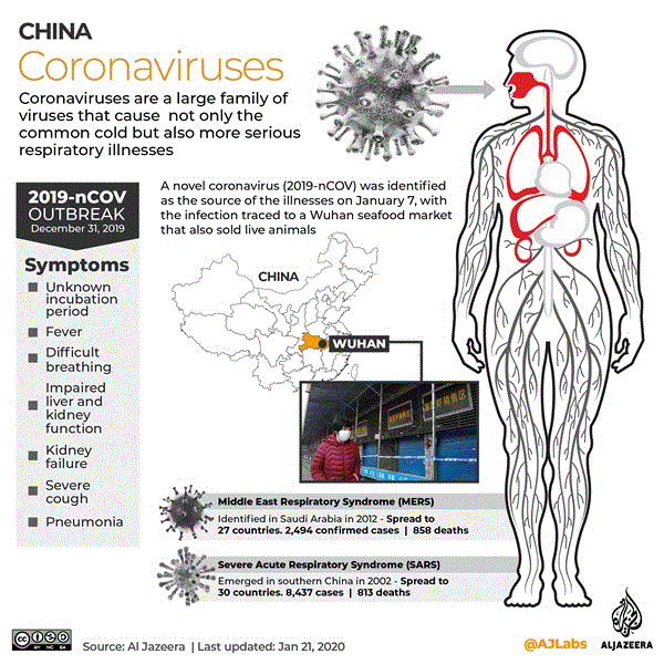 Virus corona và những điều cần biết - 2