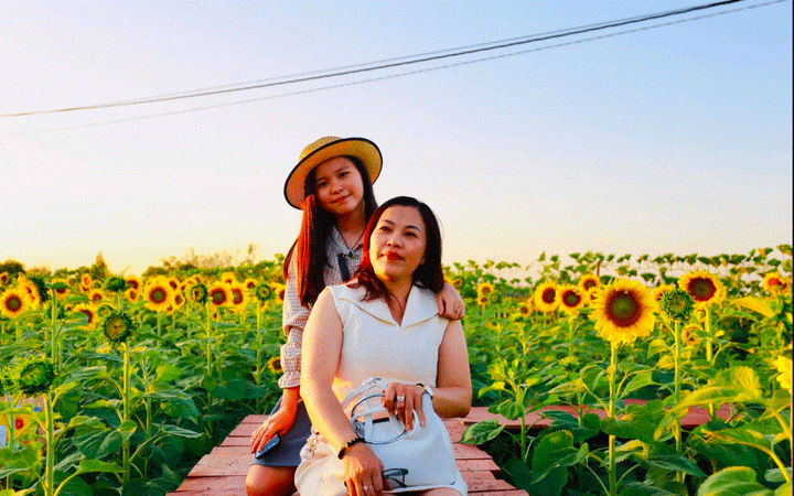 Vườn hoa hướng dương nổ rộ đầu năm, người dân đổ xô về chụp ảnh - 8