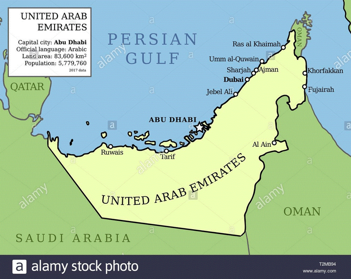 Trung Đông xuất hiện ca nhiễm virus corona đầu tiên - 1