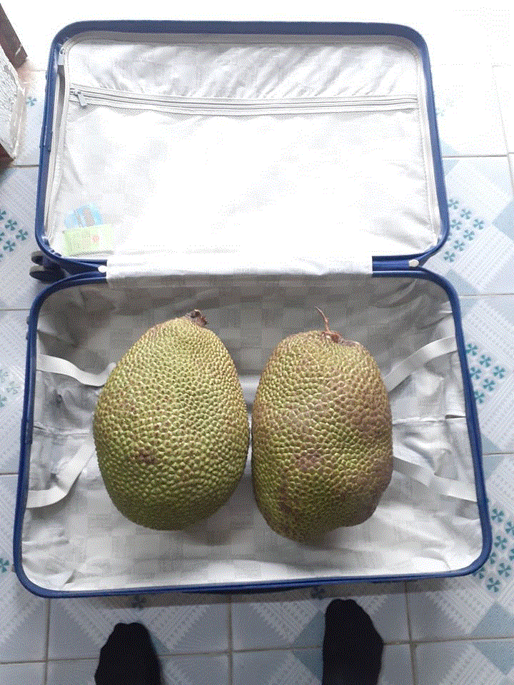 Dân mạng đua nhau khoe ảnh 'mang cả quê hương ra thành phố' - 5