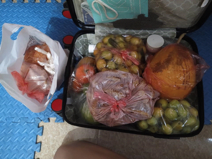 Dân mạng đua nhau khoe ảnh 'mang cả quê hương ra thành phố' - 4