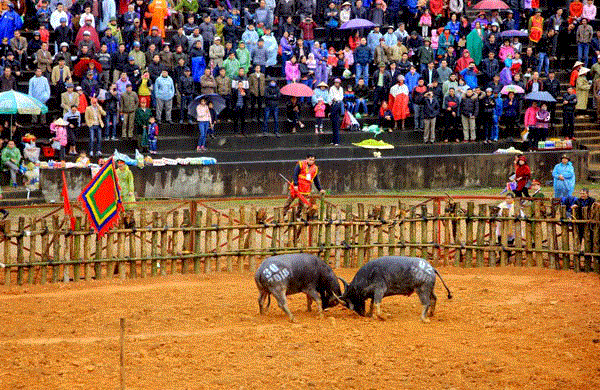 Bộ VHTTDL: Có thể sẽ tạm ngừng tổ chức lễ hội vì dịch virus corona - 1