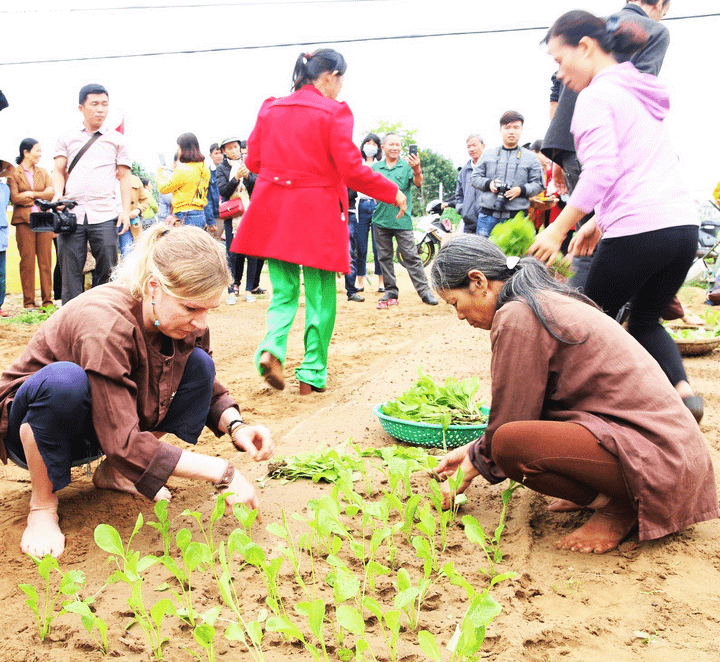 Du khách Tây xới đất trồng rau trong lễ hội ở làng rau 400 tuổi - 8