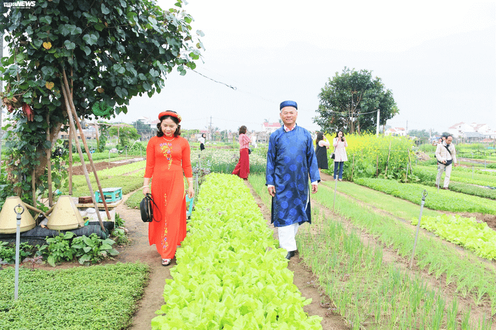 Du khách Tây xới đất trồng rau trong lễ hội ở làng rau 400 tuổi - 3