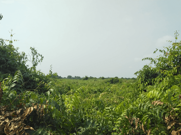 Nghi can bắn chết 5 người có thể đã đào thoát, công an mở rộng phạm vi truy tìm - 2