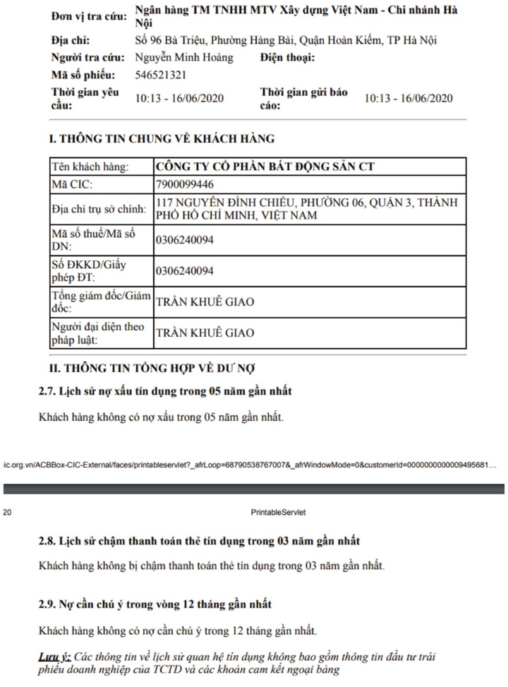 C.T Land lỗ khủng bao nhiêu? - 1