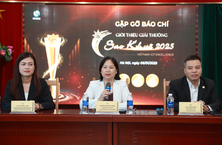 9 nhóm lĩnh vực trong Giải thưởng Sao Khuê 2025