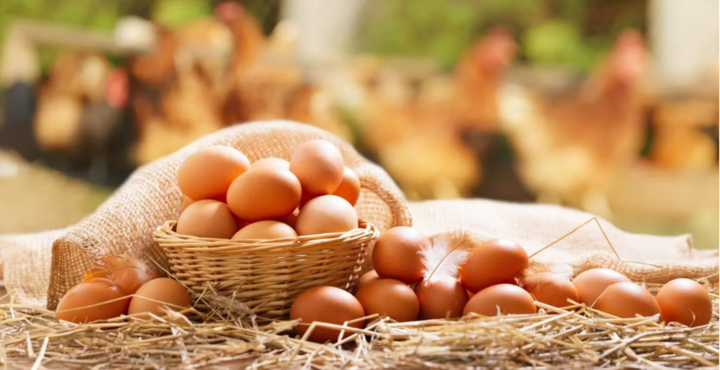 Mỗi tuần ăn 4 quả trứng gà có tác động bất ngờ gì tới cơ thể?