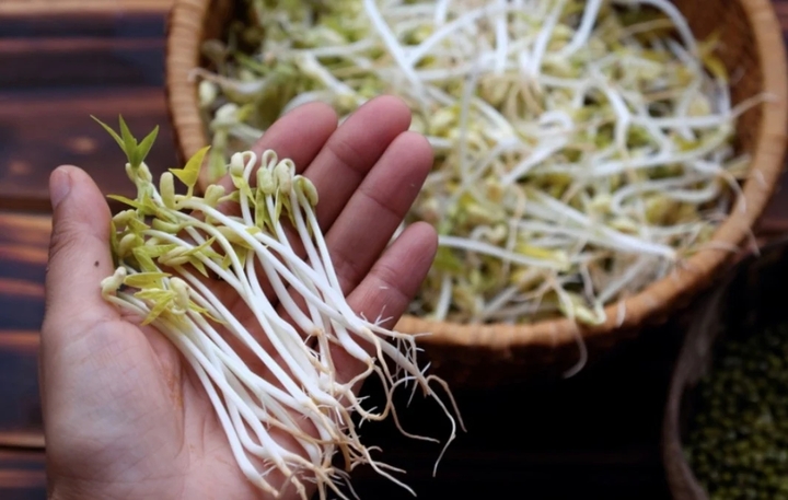 Lợi ích của giá đỗ không phải ai cũng biết