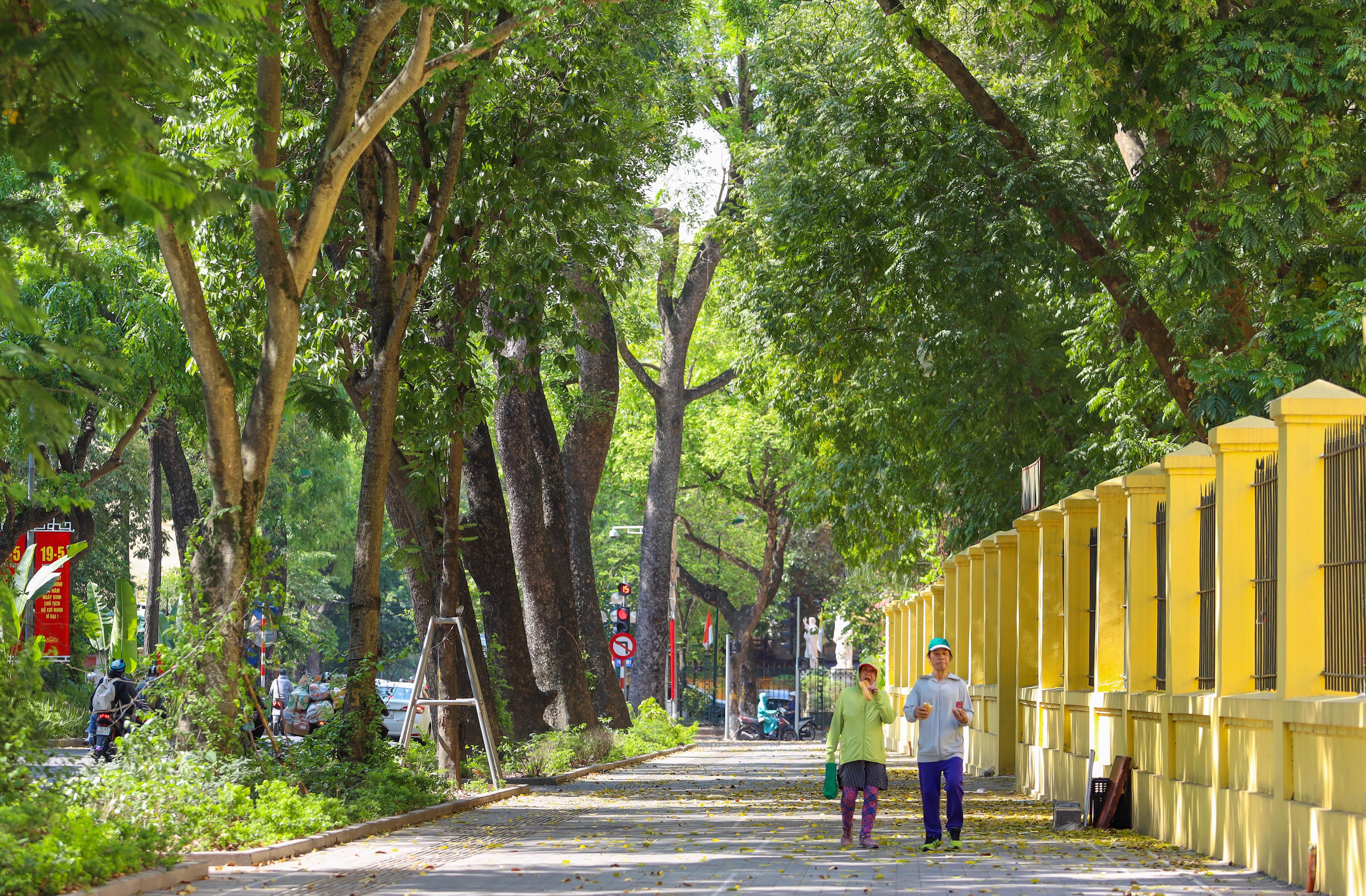 Miền Bắc chuyển nắng từ ngày mai