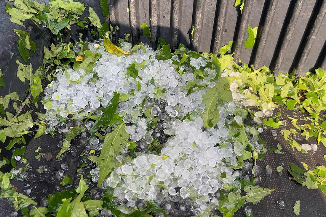 Mưa đá, dông lốc xuất hiện tại Quảng Ninh