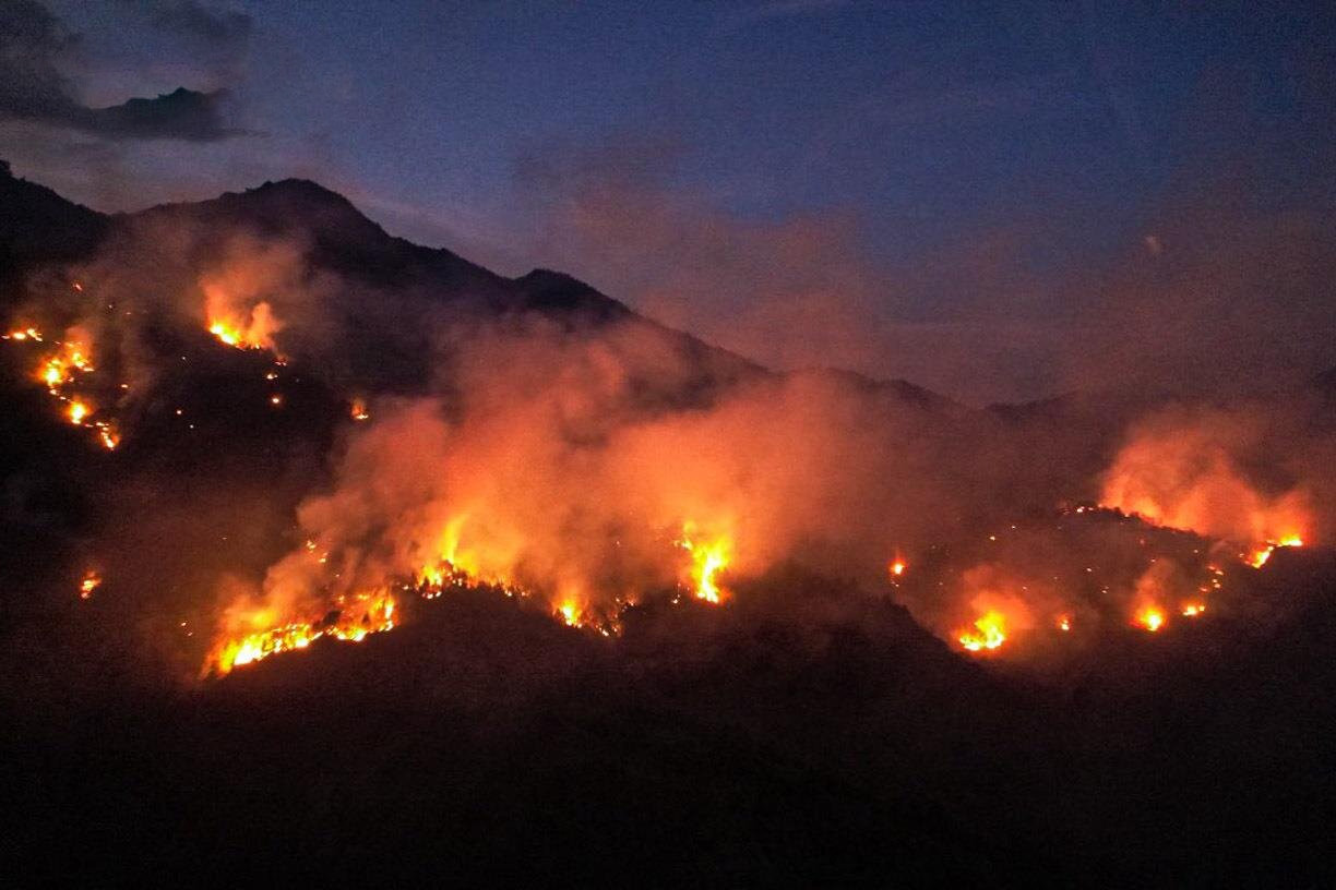 Nguy cơ cháy rừng cao, Thủ tướng chỉ đạo cấp bách ứng phó