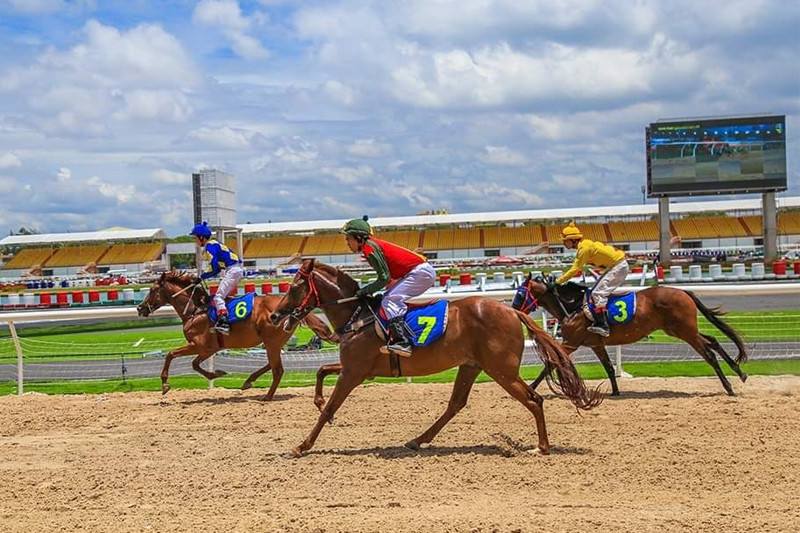 Hoàn thành việc sửa quy định đặt cược đua ngựa, đua chó, bóng đá trong năm 2025