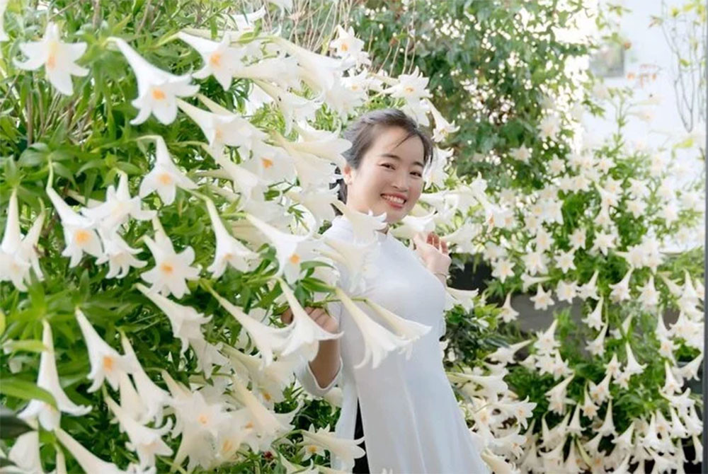 'Studio tại gia' gồm 2.500 bông loa kèn của người phụ nữ Hải Phòng gây sốt mạng