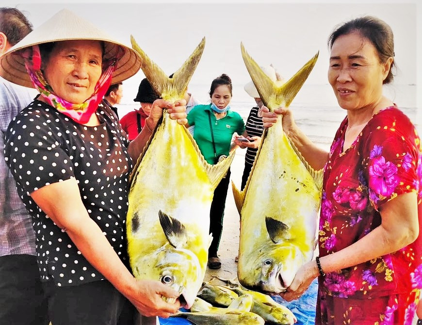 Ngư dân trúng mẻ cá chim vàng hơn 350 triệu đồng