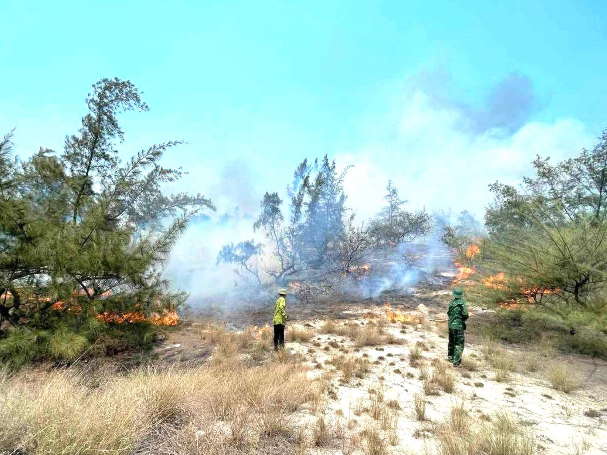 Hơn 400 người căng mình dập tắt vụ cháy rừng ở Quảng Bình