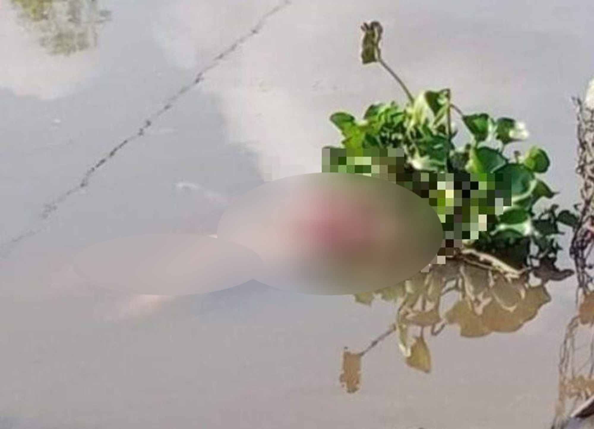 Điều tra vụ thi thể phụ nữ nổi trên rạch ở Củ Chi